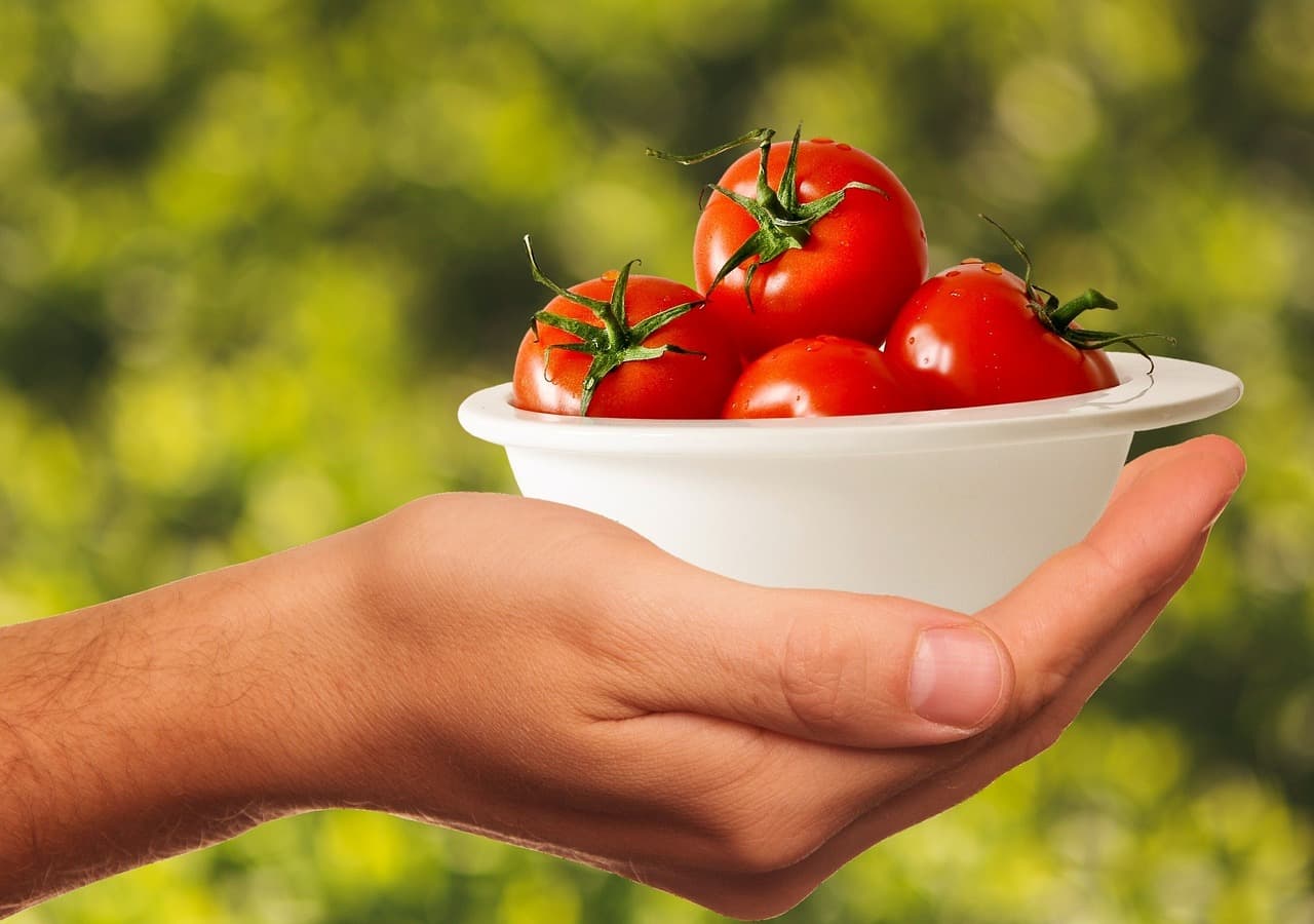 Meal Prepping for Beginners: A Simple Weekend Guide